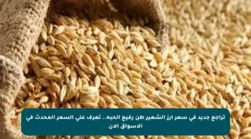 تراجع جديد في سعر أرز الشعير طن رفيع الحبة.. تعرف على السعر المحدث في الأسواق الآن